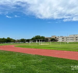 Soccer Field image 2