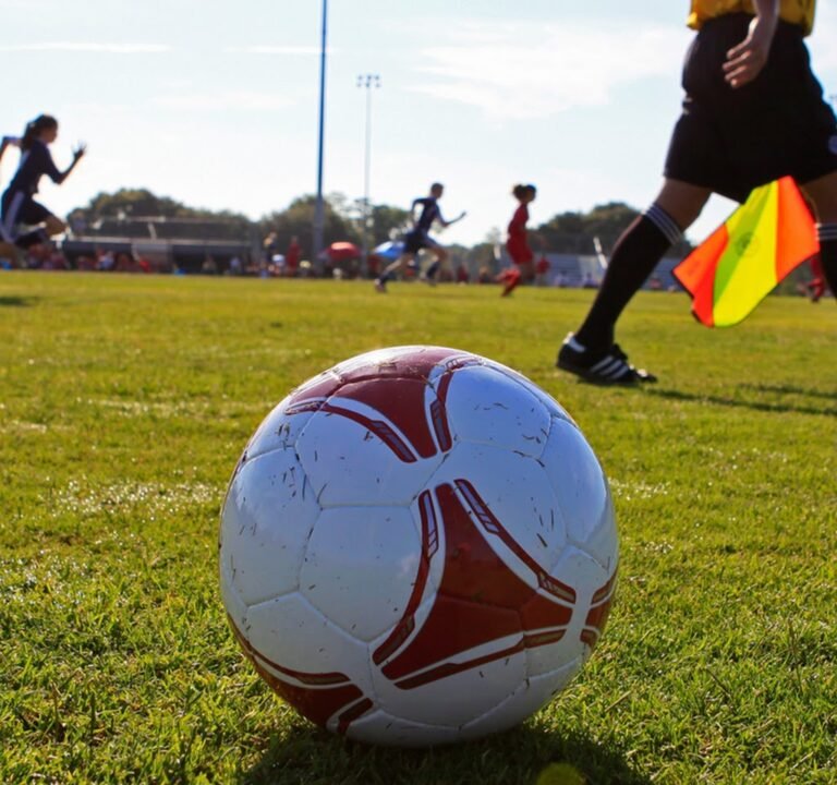 Soccer Field image 2