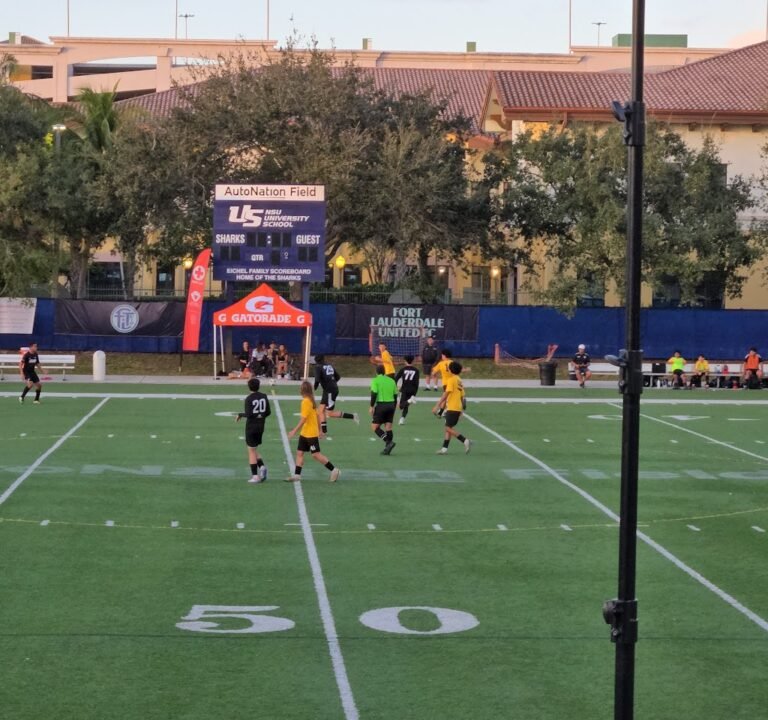 Soccer Field image 2