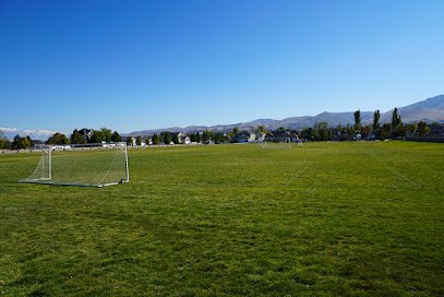 Soccer Field image 1