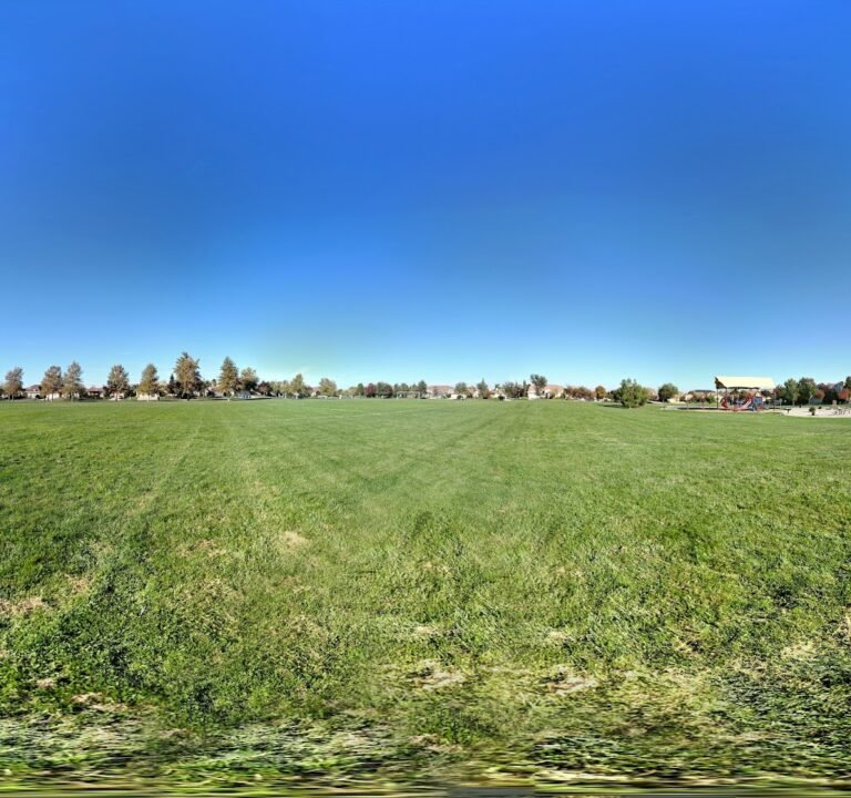 Soccer Field image 3