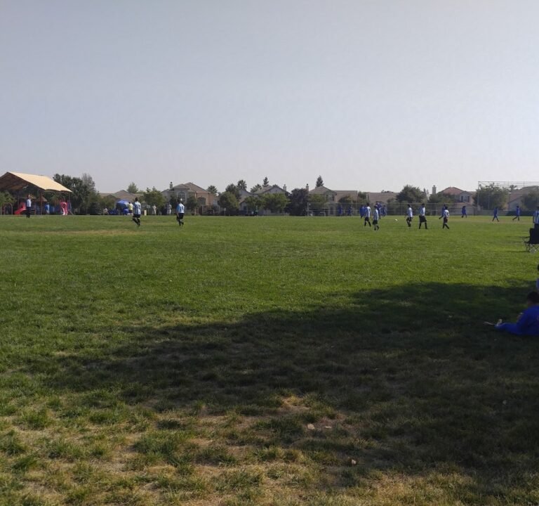 Soccer Field image 2