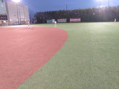 Soccer Field image 1