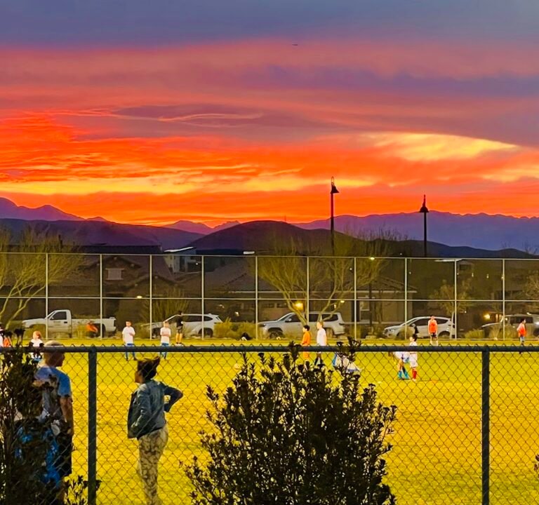 Soccer Field image 2