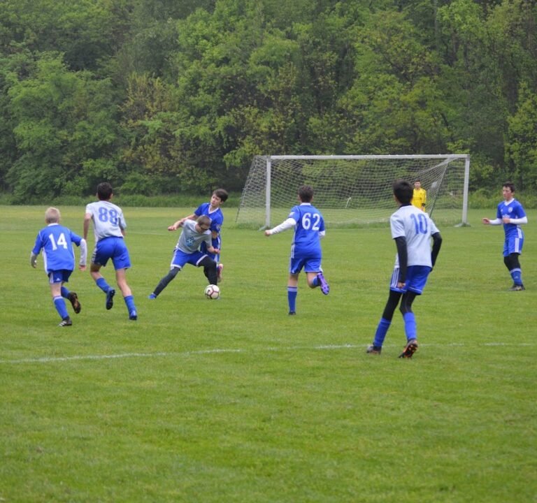 Soccer Field image 2