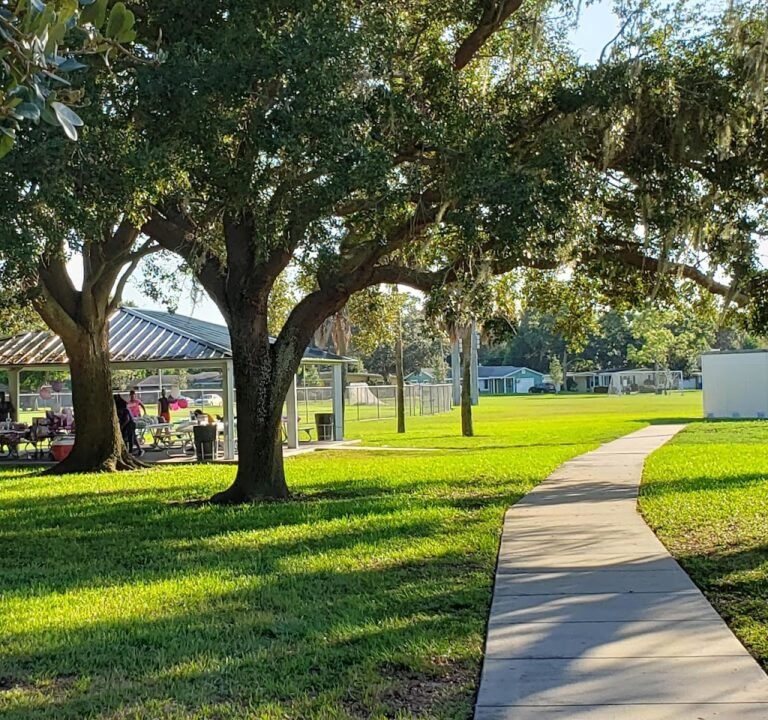 Soccer Field image 2