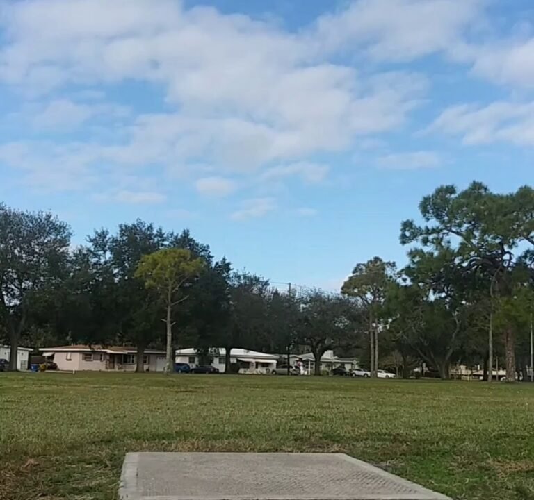 Soccer Field image 4