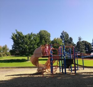 Soccer Field image 2