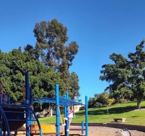 Soccer Field image 4