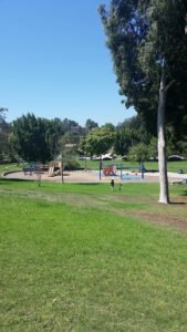 Soccer Field image 1
