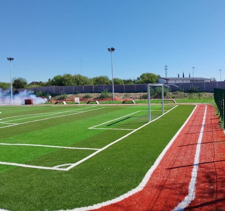 Soccer Field image 2