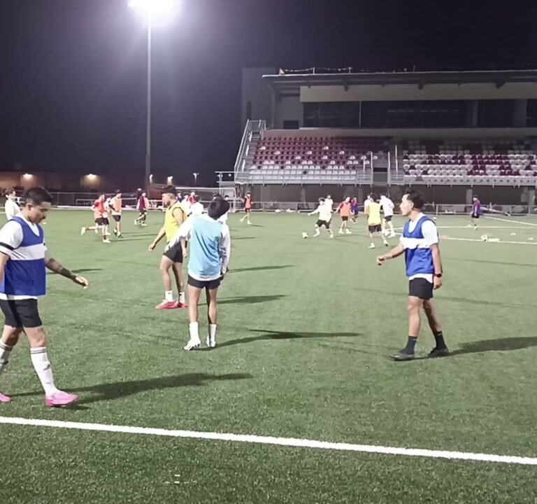 Soccer Field image 3