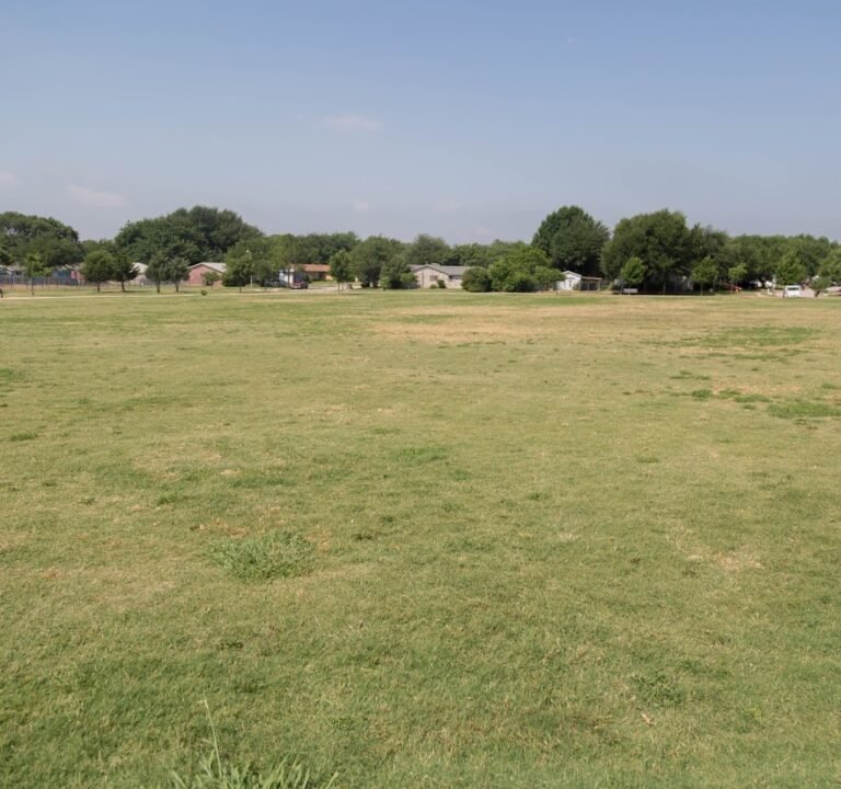 Soccer Field image 3