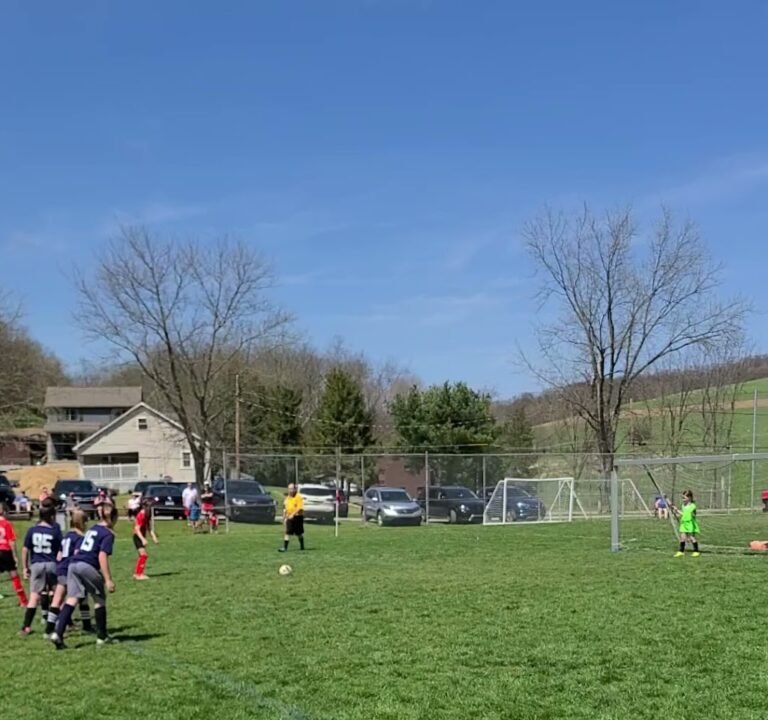 Soccer Field image 3