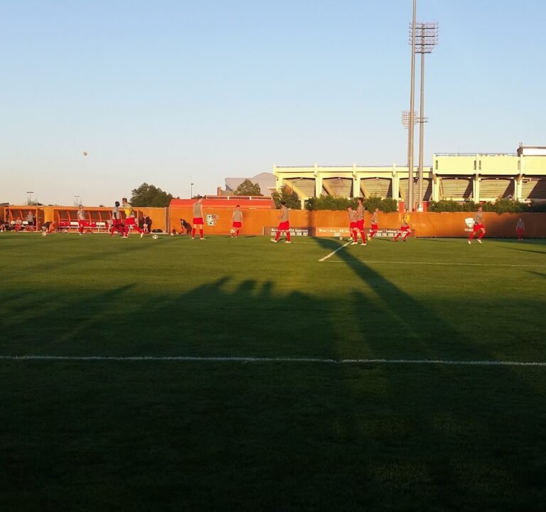 Soccer Field image 2