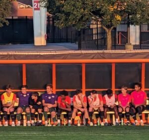 Soccer Field image 3