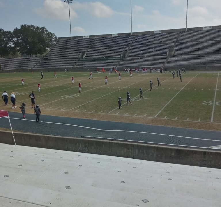 Soccer Field image 2