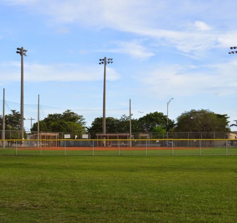 Soccer Field image 2