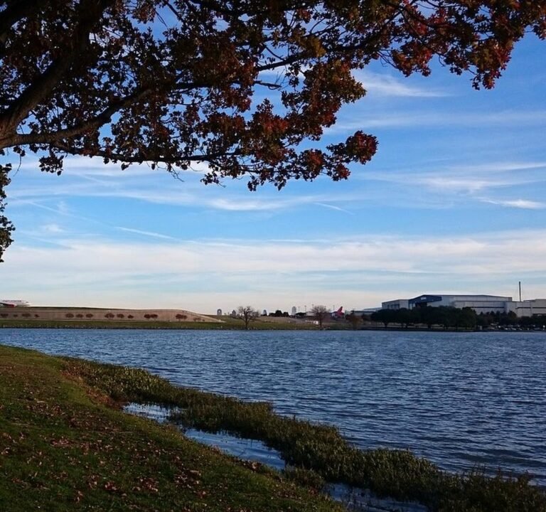 Soccer Field image 2