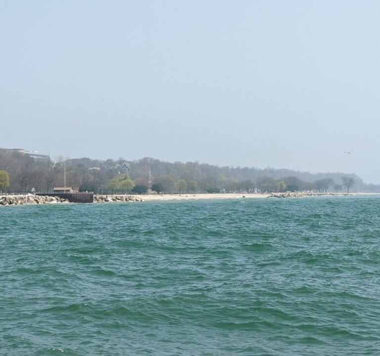 Soccer Field image 3