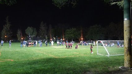 Soccer Field image 1