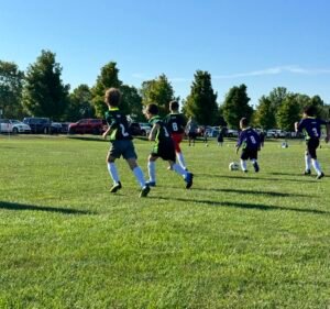 Soccer Field image 2