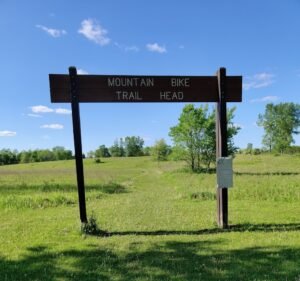 Soccer Field image 2