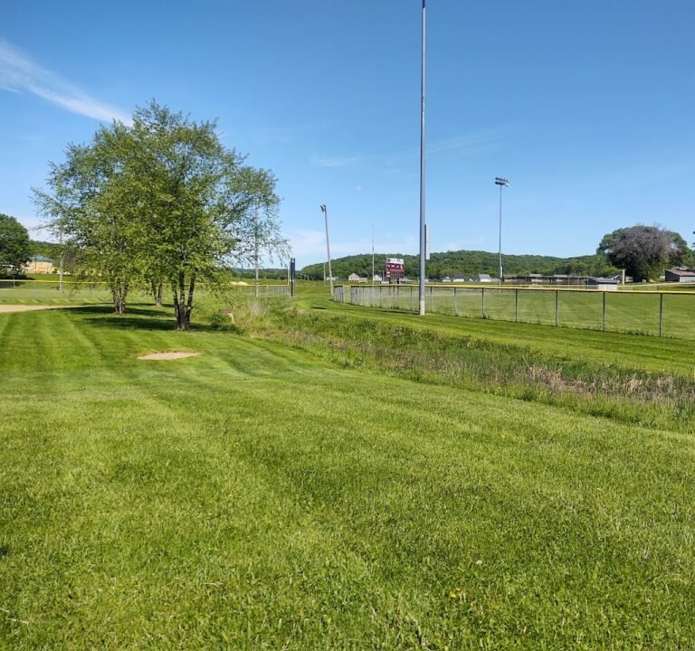 Soccer Field image 2