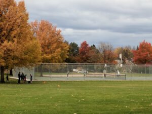 Soccer Field image 1