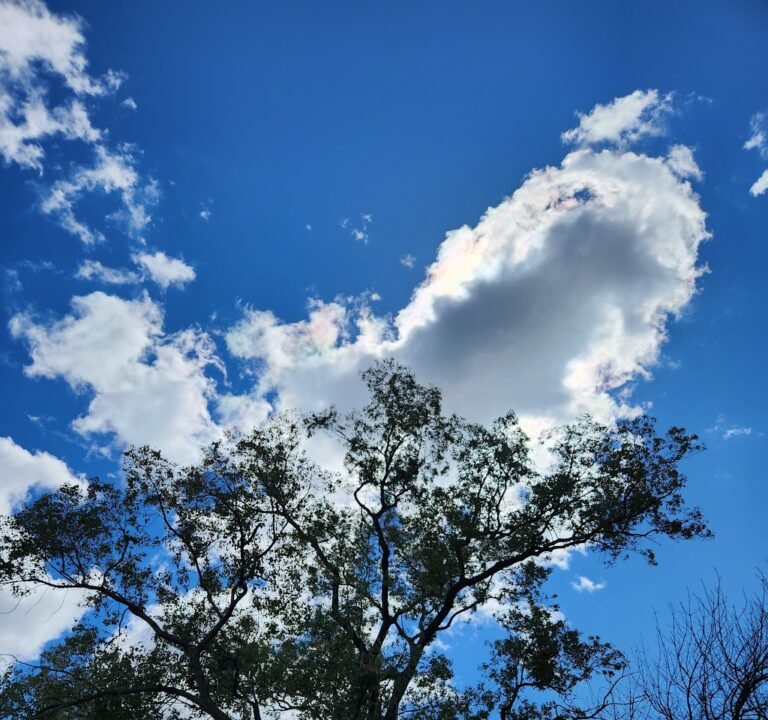Soccer Field image 2