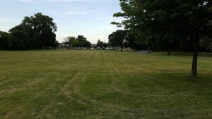 Soccer Field image 1