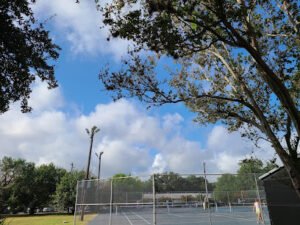 Soccer Field image 1