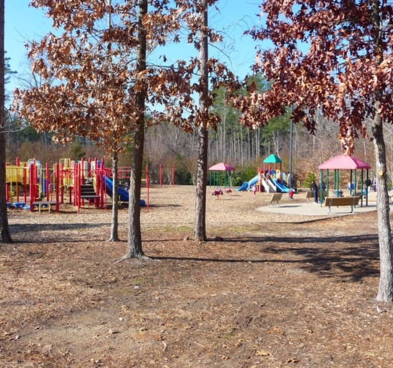 Soccer Field image 2
