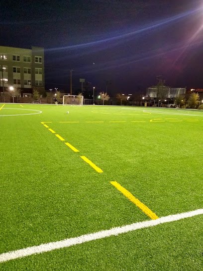 Soccer Field image 1