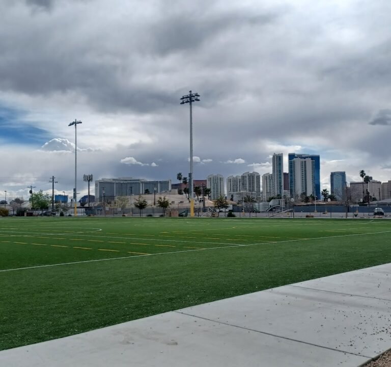 Soccer Field image 2