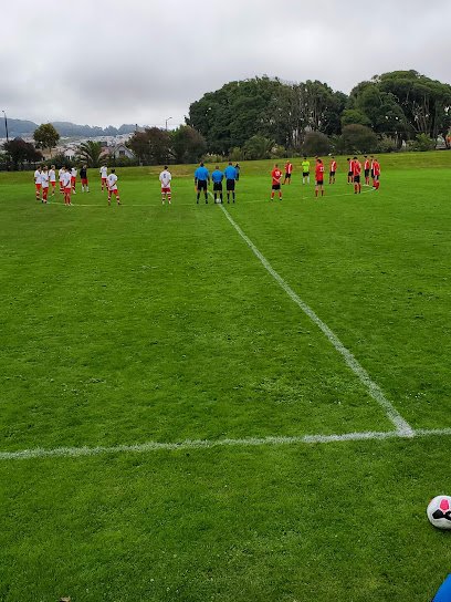 Soccer Field image 1