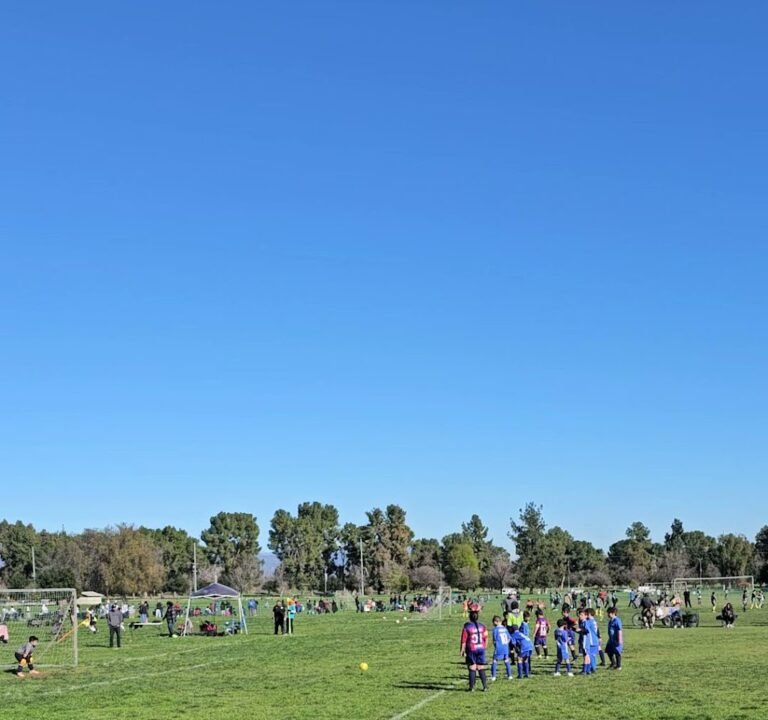 Soccer Field image 4