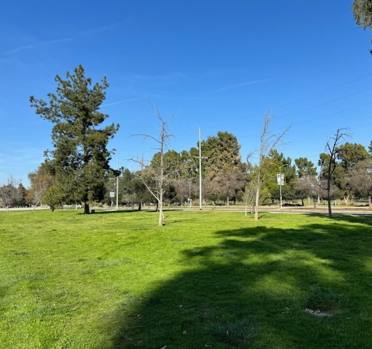 Soccer Field image 2