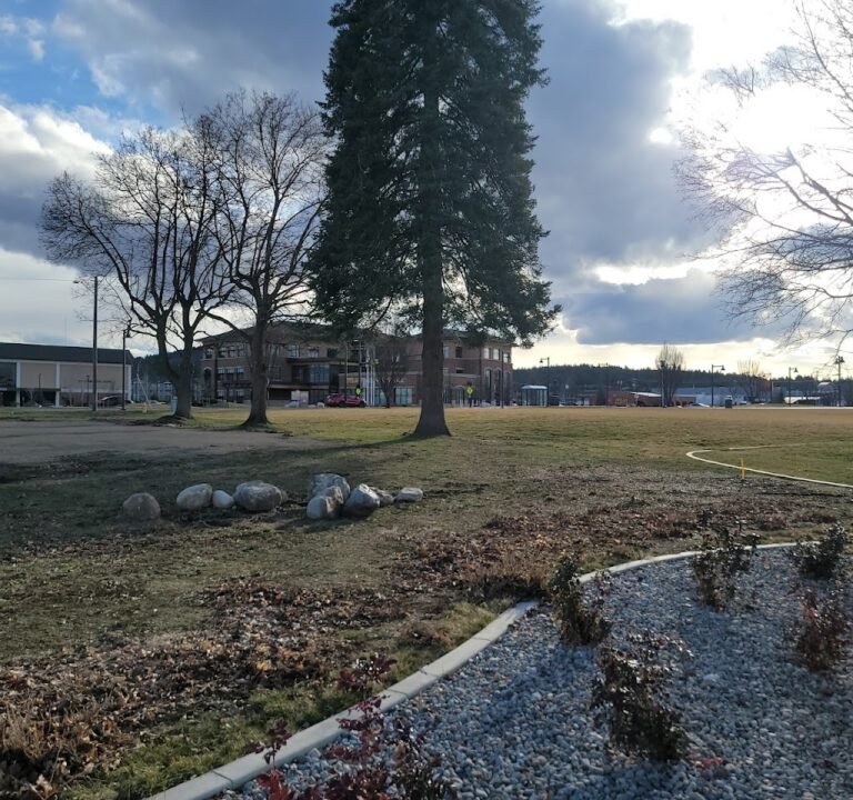 Soccer Field image 3