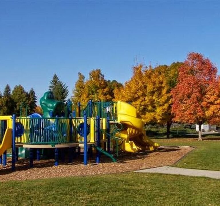 Soccer Field image 2