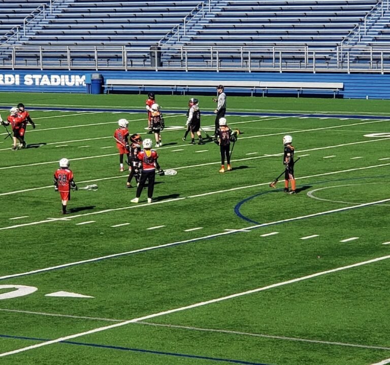 Soccer Field image 3