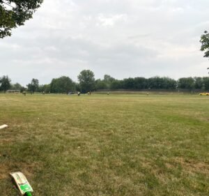 Soccer Field image 2