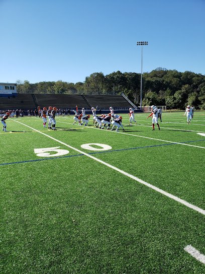 Soccer Field image 1