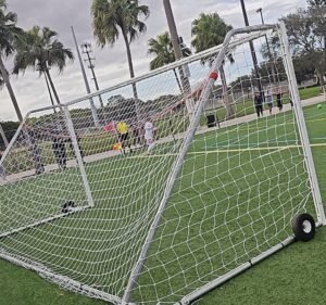 Soccer Field image 4