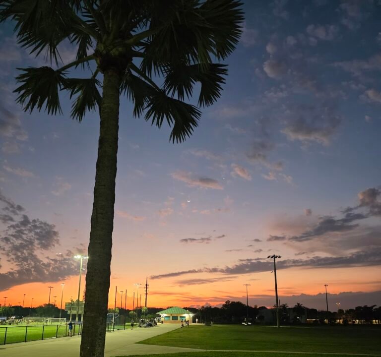 Soccer Field image 3