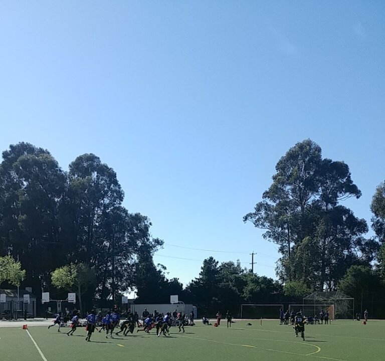 Soccer Field image 2