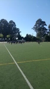 Soccer Field image 1