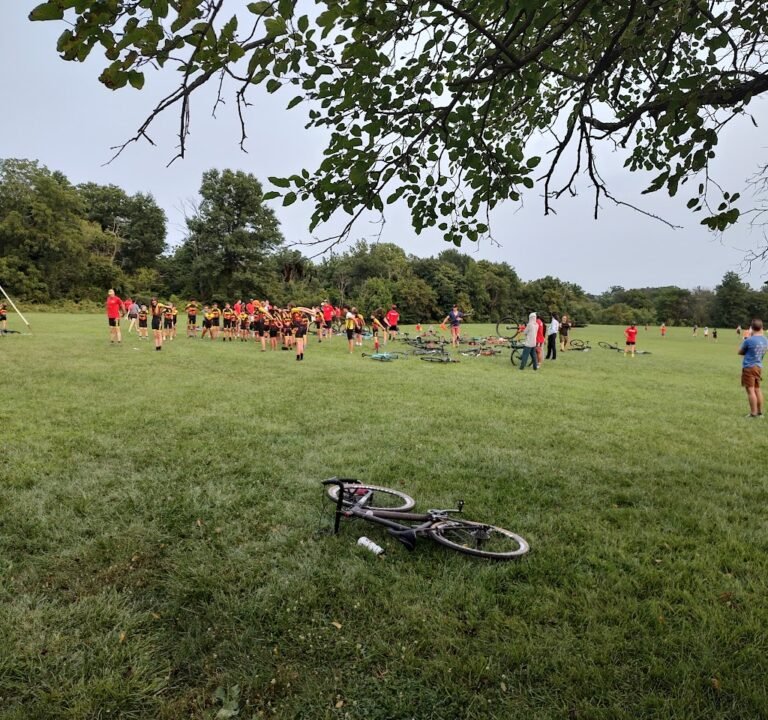 Soccer Field image 2