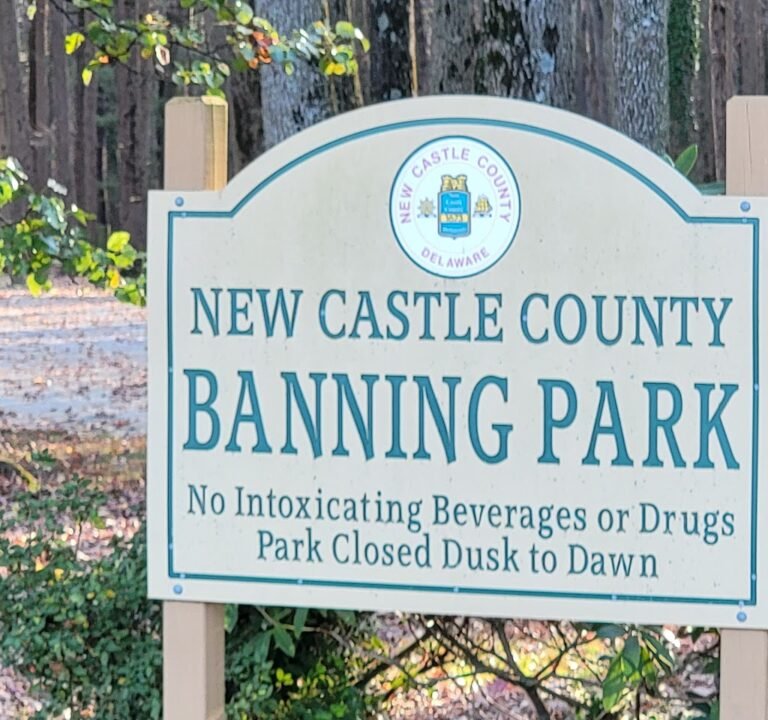 Soccer Field image 3