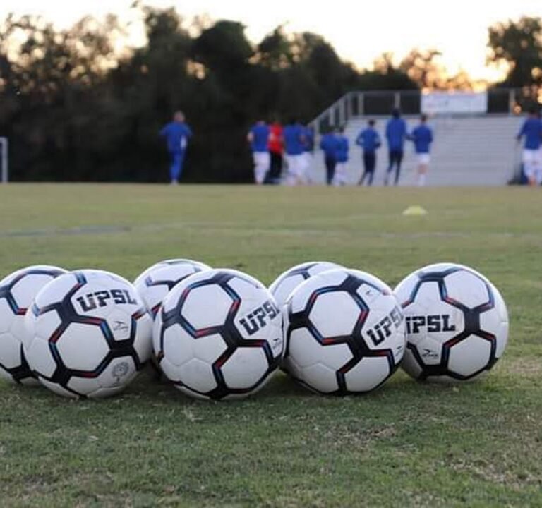 Soccer Field image 3